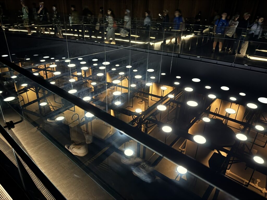 発酵で発光中？
