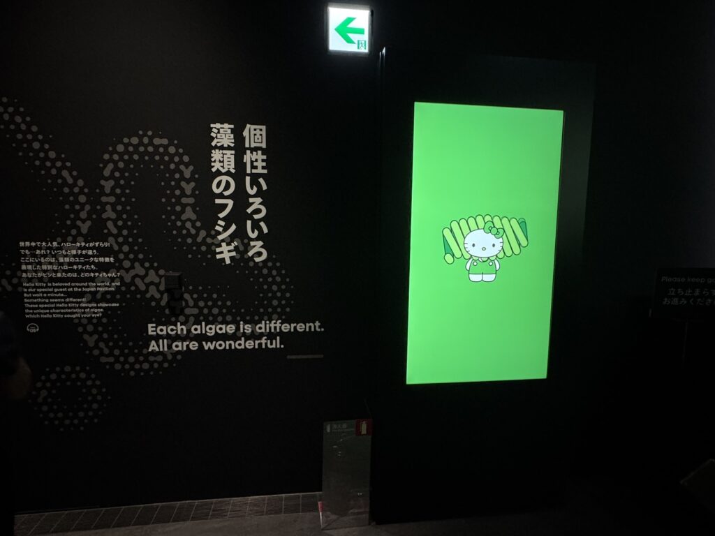 個性いろいろ藻類のフシギ