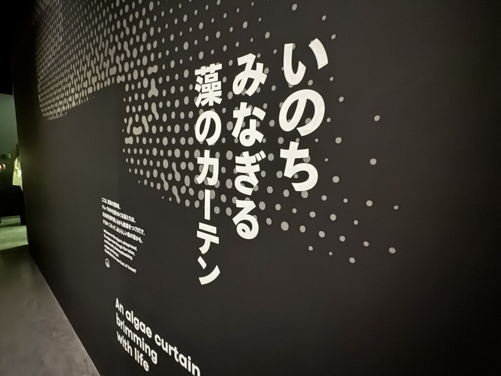いのちみなぎる藻のカーテン