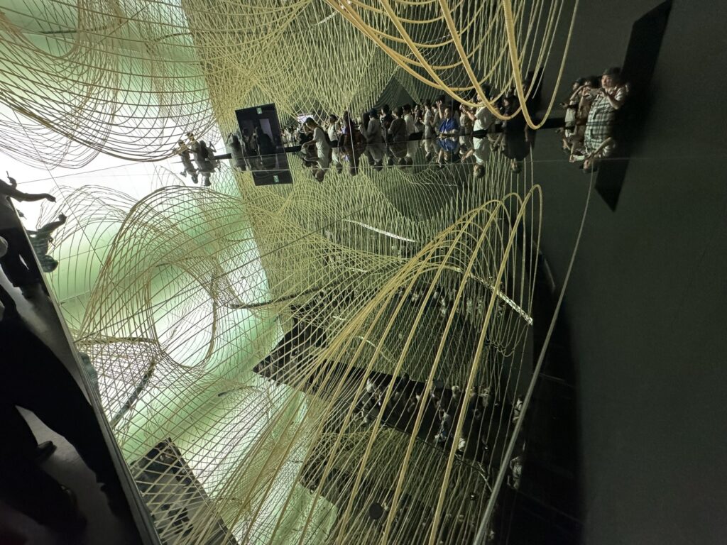 いのちみなぎる藻のカーテン