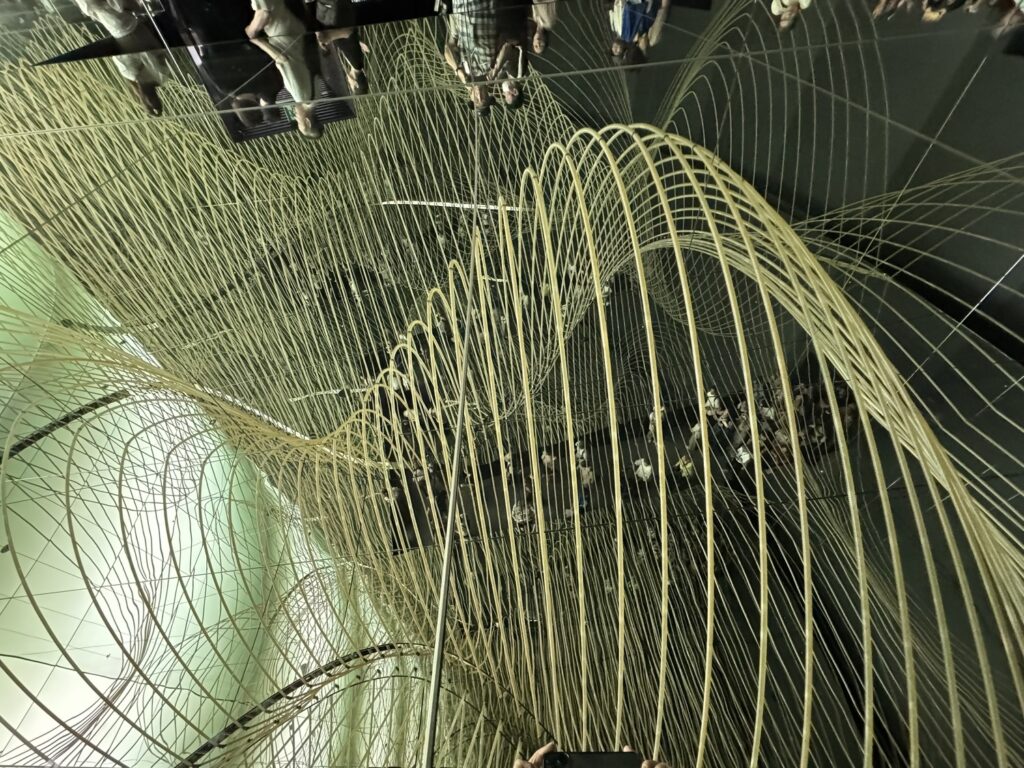いのちみなぎる藻のカーテン