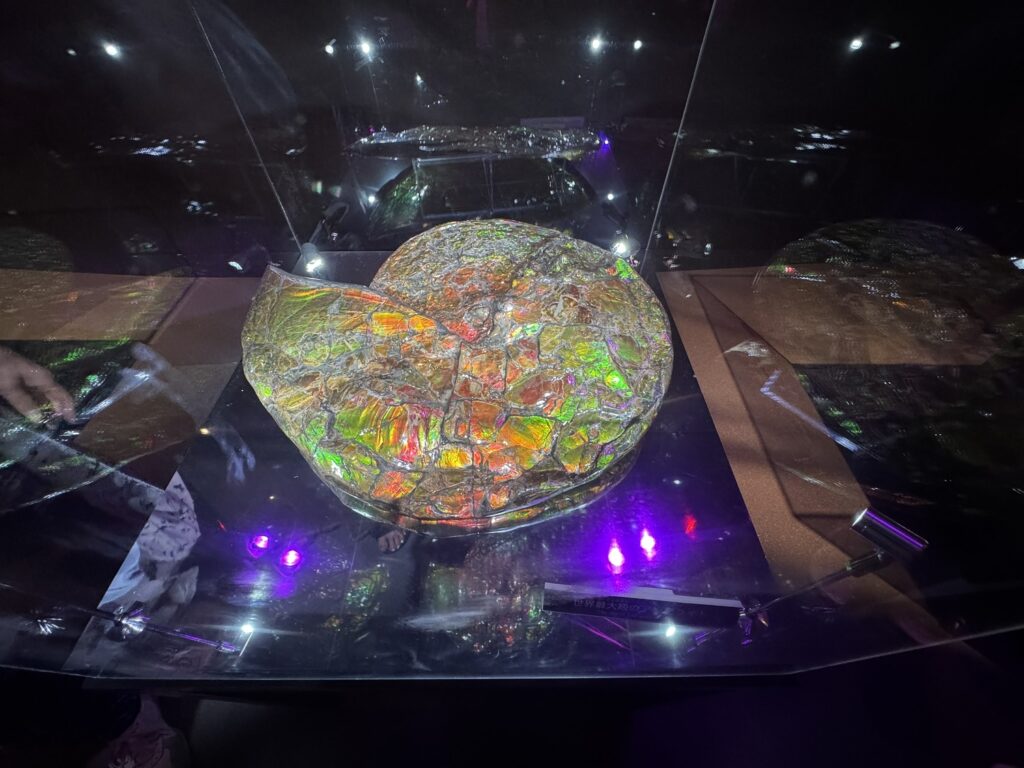 アンモライト　いのちの象徴としてパソナ館の建築デザインに採用された