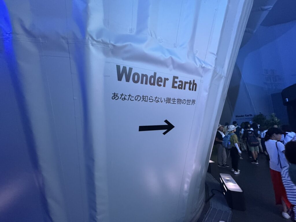 Wonder Earth