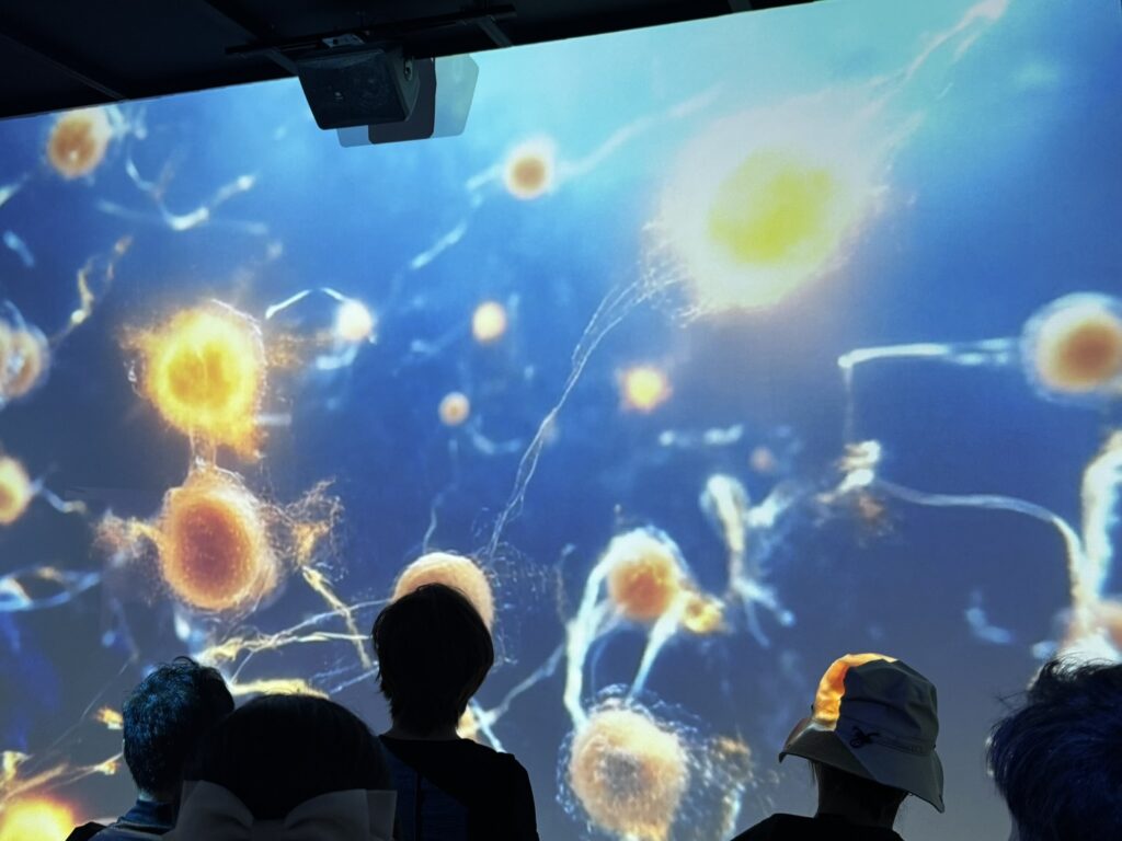 未来を旅するきぼうの船