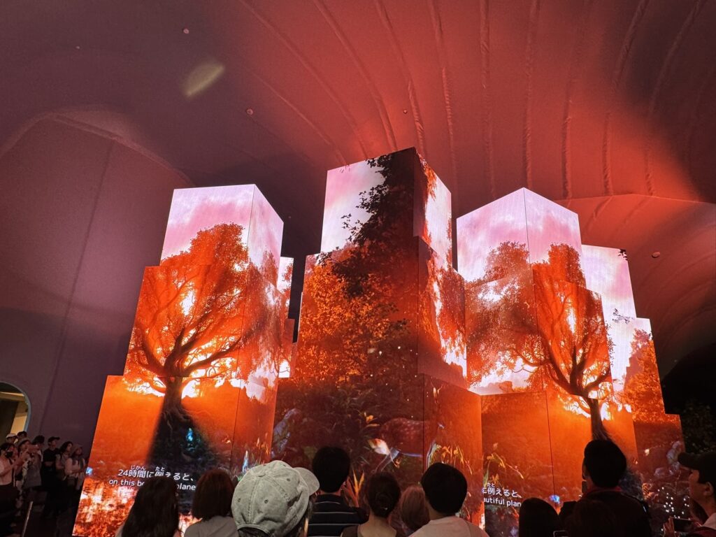 NATUREVERSEショー