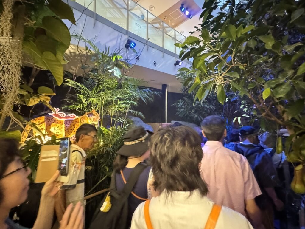 インドネシアの森