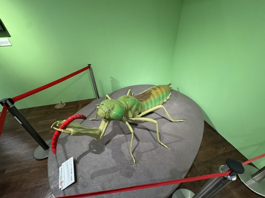 特別展「昆虫MANIAC」