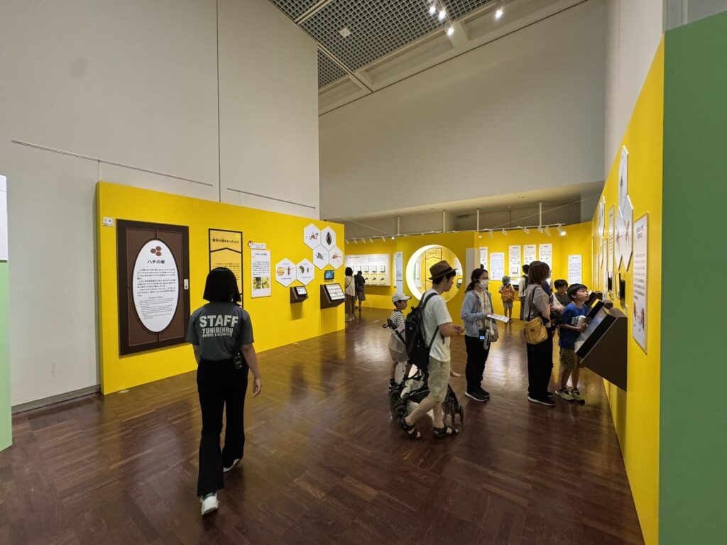 特別展「昆虫MANIAC」