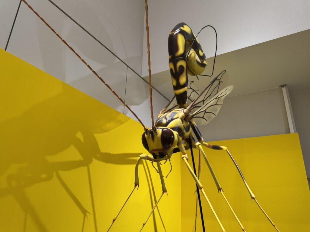 特別展「昆虫MANIAC」