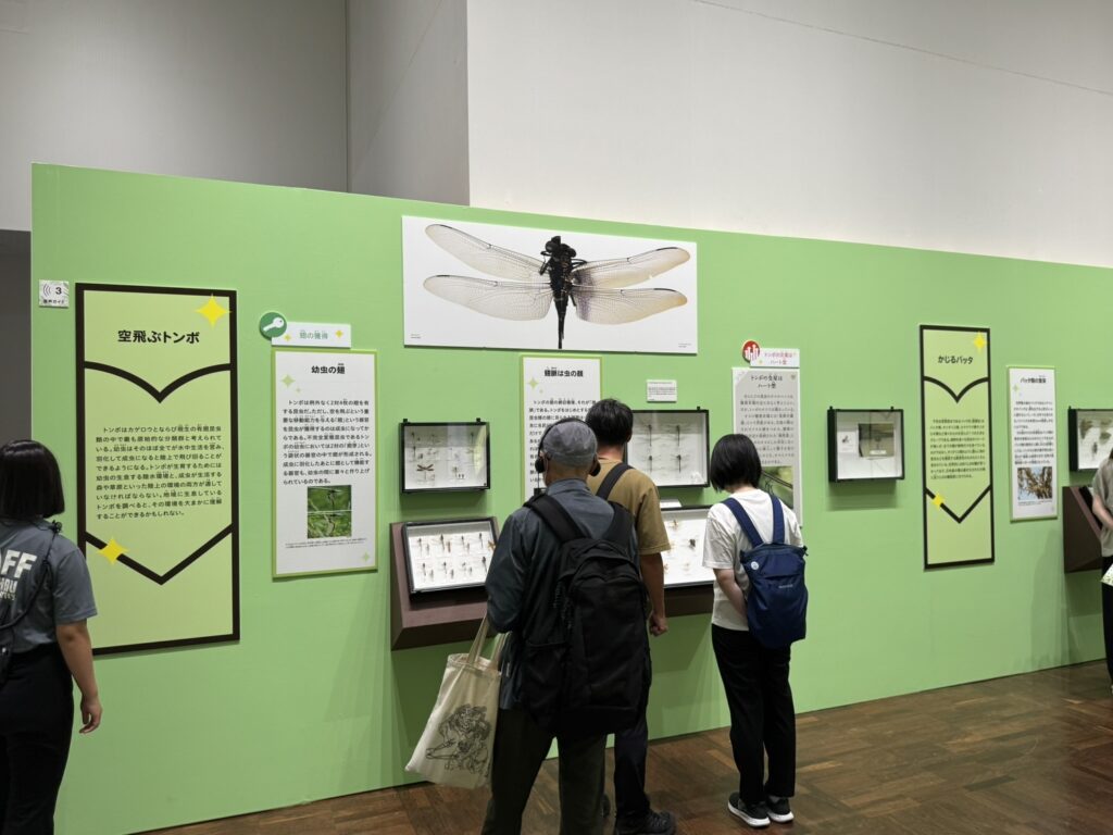特別展「昆虫MANIAC」