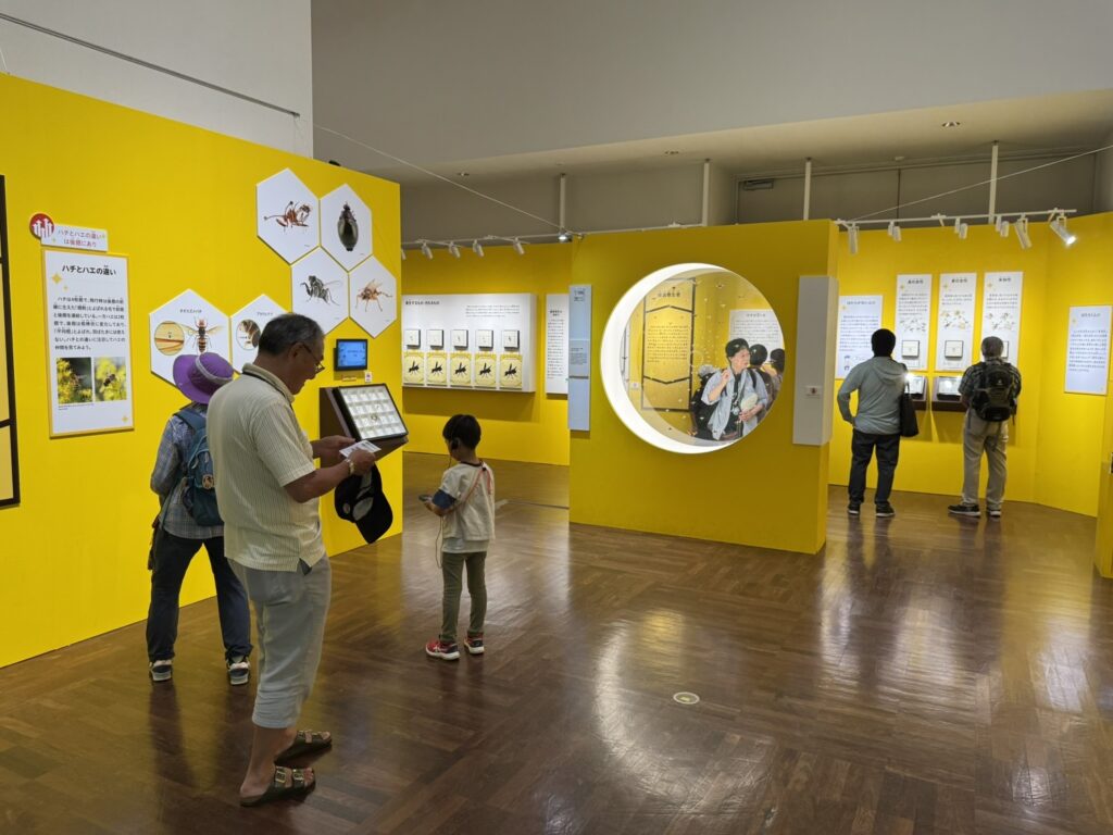 特別展「昆虫MANIAC」