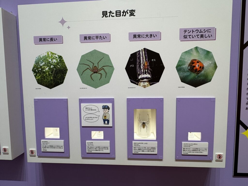 特別展「昆虫MANIAC」