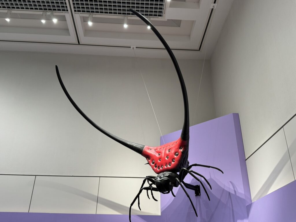 特別展「昆虫MANIAC」
