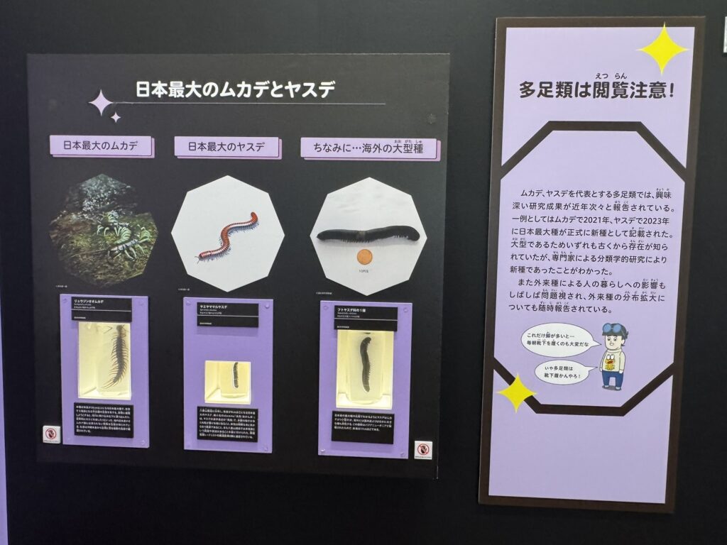 特別展「昆虫MANIAC」