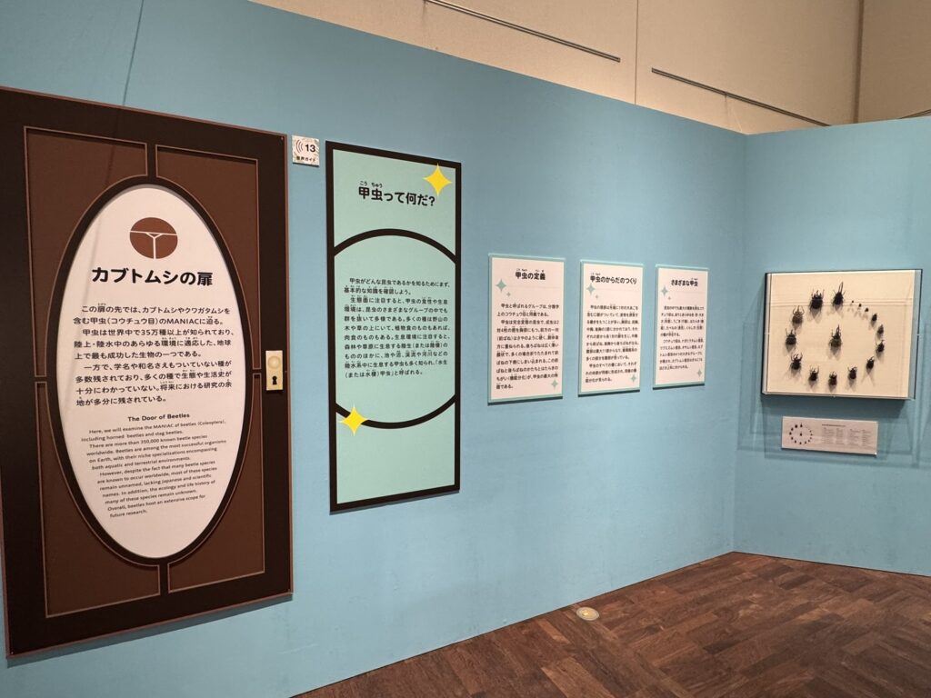 特別展「昆虫MANIAC」