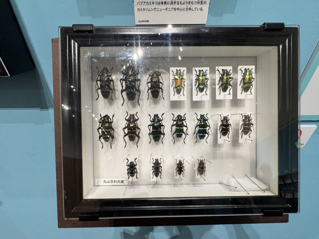 特別展「昆虫MANIAC」