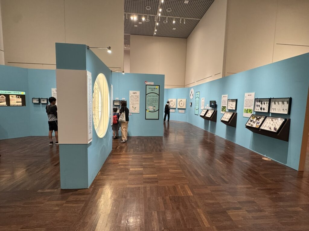 特別展「昆虫MANIAC」