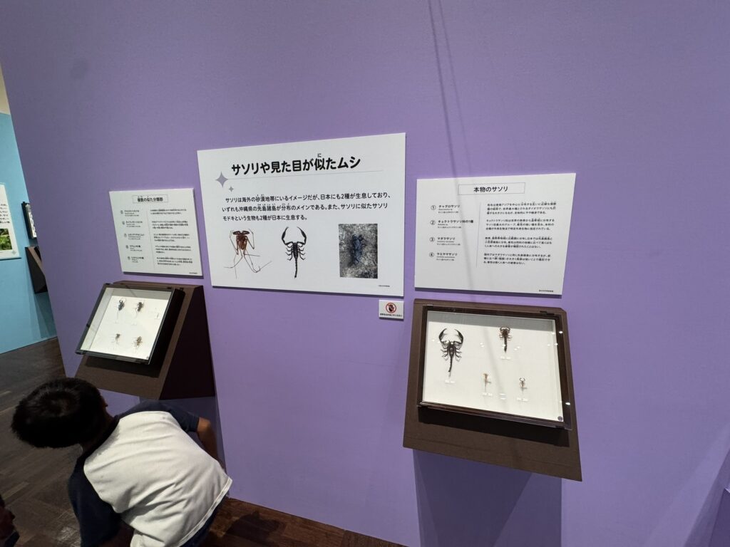 特別展「昆虫MANIAC」