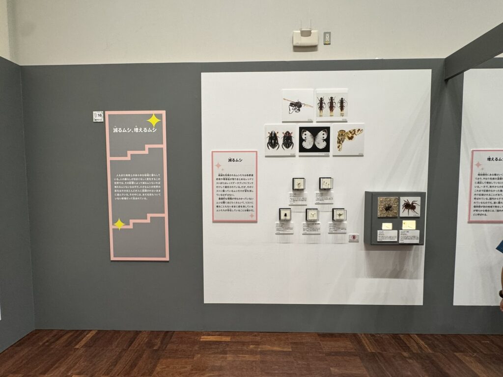 特別展「昆虫MANIAC」