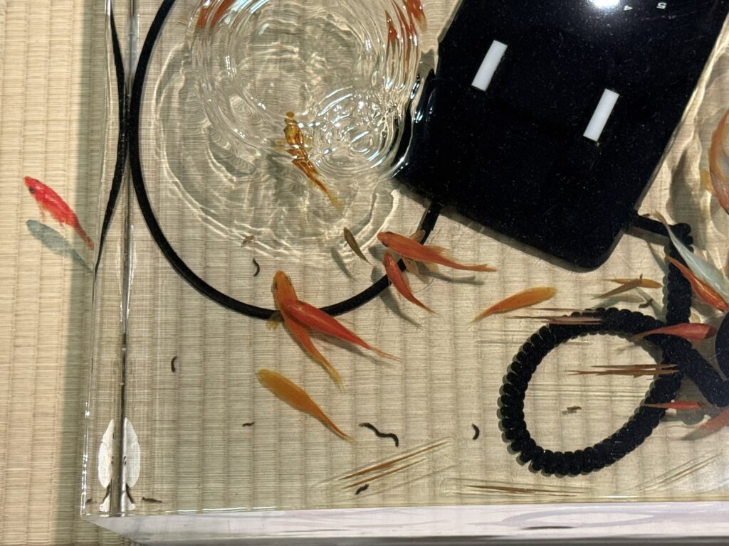 方丈ノ夢