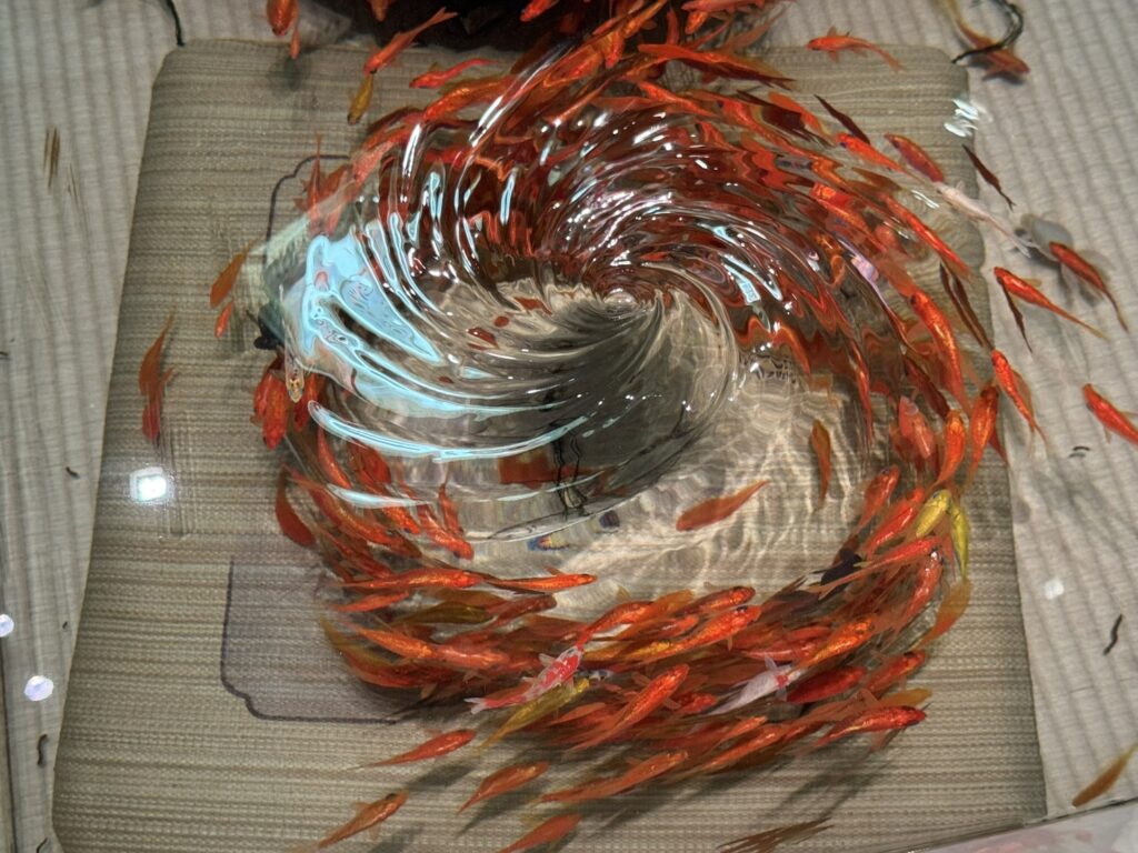 方丈ノ夢